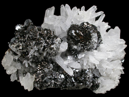 Sphalerite on Quartz with Galena from Deveti Septemvri Mine, Madan District, Rhodope Mountains, Bulgaria