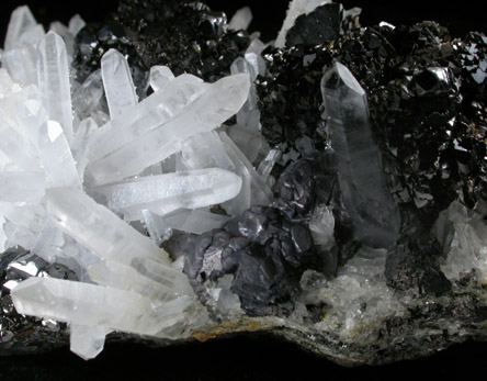 Sphalerite on Quartz with Galena from Deveti Septemvri Mine, Madan District, Rhodope Mountains, Bulgaria