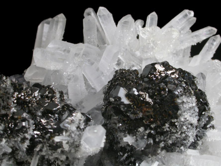 Sphalerite on Quartz with Galena from Deveti Septemvri Mine, Madan District, Rhodope Mountains, Bulgaria