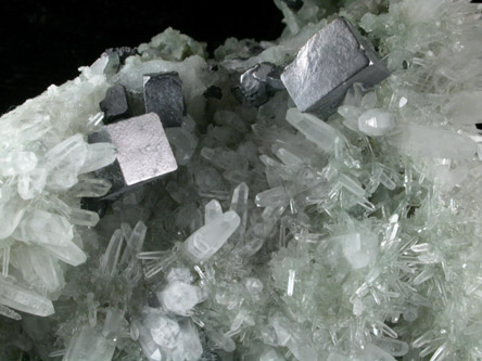 Galena on Quartz from Deveti Septemvri Mine, Madan District, Rhodope Mountains, Bulgaria