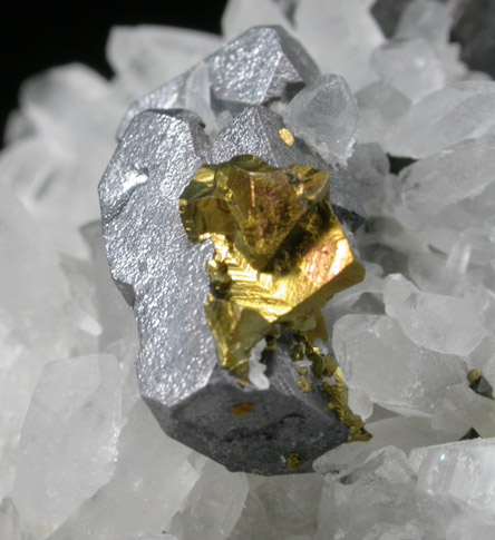 Galena (distorted crystals), Pyrite, Chalcopyrite, Sphalerite on Quartz from Deveti Septemvri Mine, Madan District, Rhodope Mountains, Bulgaria