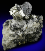 Pyrite and Galena on Quartz with Sphalerite, Chalcopyrite from Deveti Septemvri Mine, Madan District, Rhodope Mountains, Bulgaria