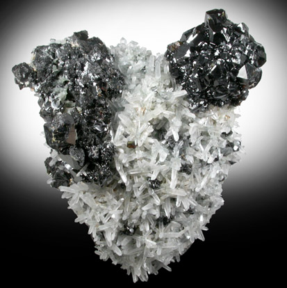 Sphalerite on Quartz from Deveti Septemvri Mine, Madan District, Rhodope Mountains, Bulgaria