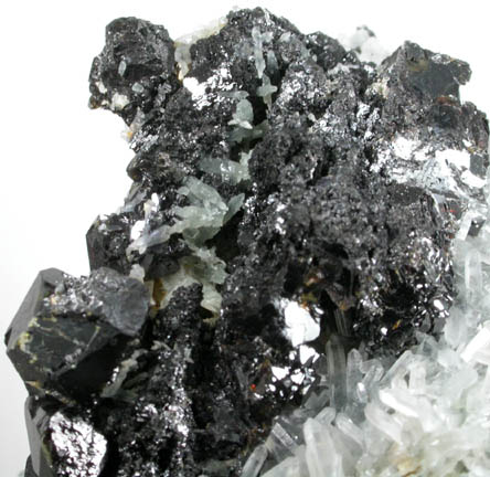 Sphalerite on Quartz from Deveti Septemvri Mine, Madan District, Rhodope Mountains, Bulgaria