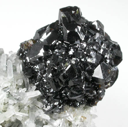 Sphalerite on Quartz from Deveti Septemvri Mine, Madan District, Rhodope Mountains, Bulgaria