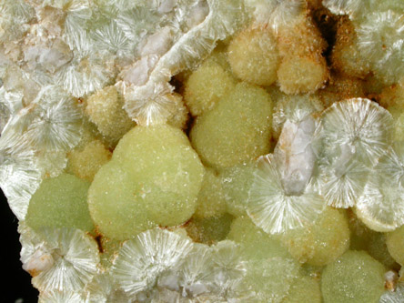 Wavellite from National Limestone Quarry, Lime Ridge, Mount Pleasant Mills, Snyder County, Pennsylvania