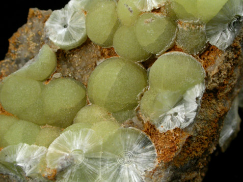 Wavellite from National Limestone Quarry, Lime Ridge, Mount Pleasant Mills, Snyder County, Pennsylvania