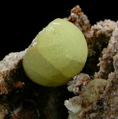 Wavellite from National Limestone Quarry, Lime Ridge, Mount Pleasant Mills, Snyder County, Pennsylvania