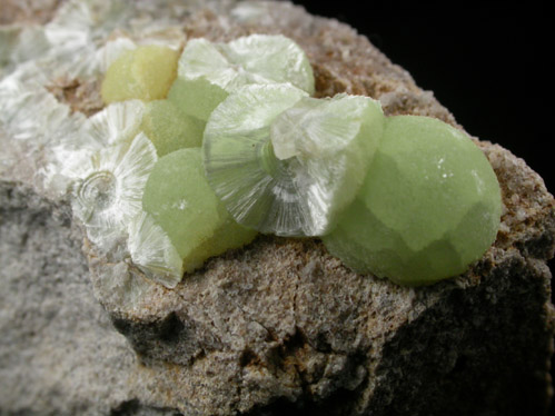 Wavellite from National Limestone Quarry, Lime Ridge, Mount Pleasant Mills, Snyder County, Pennsylvania