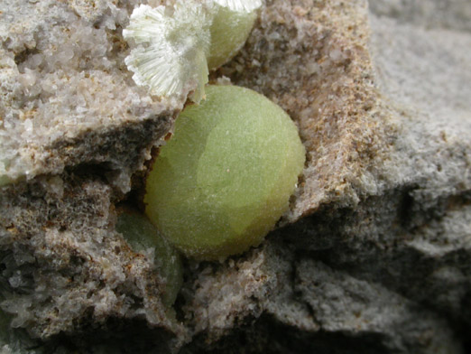 Wavellite from National Limestone Quarry, Lime Ridge, Mount Pleasant Mills, Snyder County, Pennsylvania