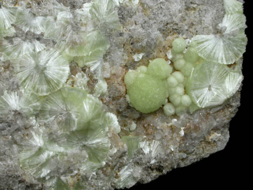 Wavellite from National Limestone Quarry, Lime Ridge, Mount Pleasant Mills, Snyder County, Pennsylvania