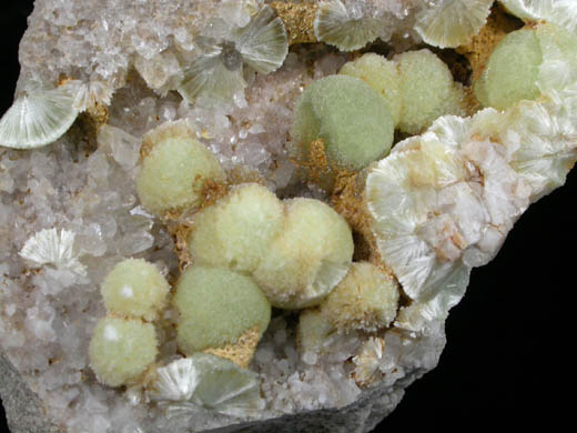 Wavellite on Quartz from National Limestone Quarry, Lime Ridge, Mount Pleasant Mills, Snyder County, Pennsylvania