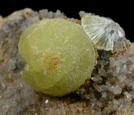 Wavellite from National Limestone Quarry, Lime Ridge, Mount Pleasant Mills, Snyder County, Pennsylvania