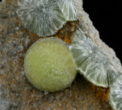 Wavellite from National Limestone Quarry, Lime Ridge, Mount Pleasant Mills, Snyder County, Pennsylvania