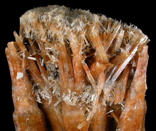 Gypsum var. Selenite from near Swan Hill, Victoria, Australia