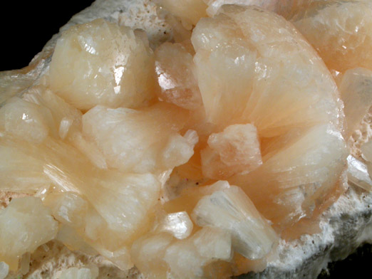 Stilbite-Ca from Lonavala Quarry, Pune District, Maharashtra, India