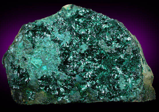 Atacamite from Copiapo, Atacama Desert, Chile (Type Locality for Atacamite)