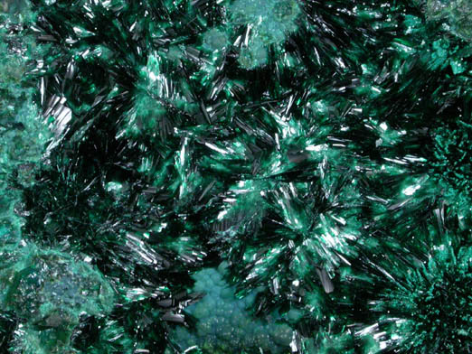 Atacamite from Copiapo, Atacama Desert, Chile (Type Locality for Atacamite)