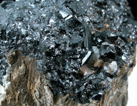 Manganilvaite (IMA 2002-016) on Johannsenite from Osikovo Mine, Madan District, Rhodope Mountains, Bulgaria (Type Locality for Manganilvaite)