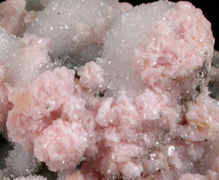 Rhodochrosite, Galena, Quartz, Pyrite from Raura District, Cajatambo Province, Peru