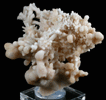 Aragonite from Ophir District, Tooele County, Utah