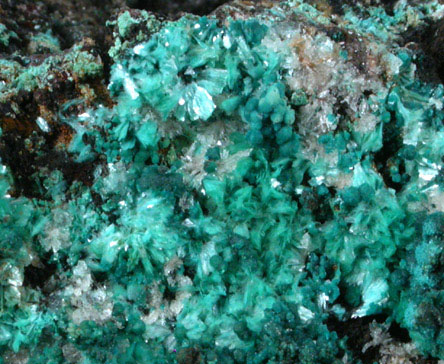 Aurichalcite and Hemimorphite from Rio Tinto Mine, Chihuahua, Mexico