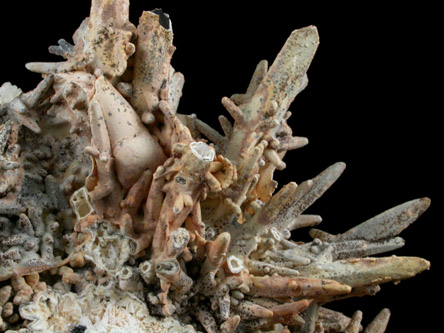 Fluorapatite pseudomorphs after Calcite from Asterillo Mine, Mapimi, Durango, Mexico