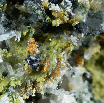 Grossular var. Hibschite Garnet, Hematite, Clinozoisite, Quartz from Greenwich Island, South Shetland Achipelago, Antarctica