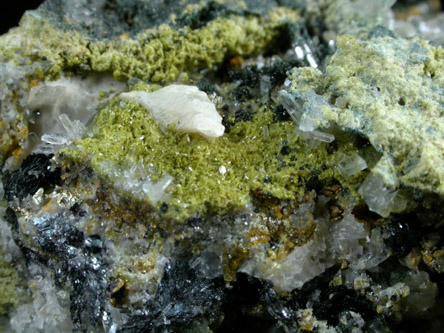 Grossular var. Hibschite Garnet, Hematite, Clinozoisite, Quartz from Greenwich Island, South Shetland Achipelago, Antarctica