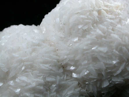 Albite var. Cleavelandite from Lake George, Park County, Colorado