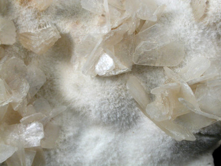 Stilbite on Mesolite from Bennett's Brook, Cap d'Or, Nova Scotia, Canada