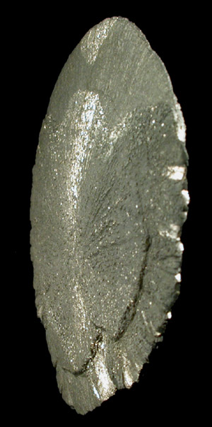 Pyrite (Pyrite Sun Formation) from Sparta, Randolph County, Illinois