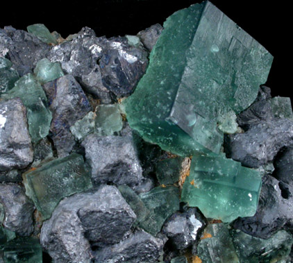 Fluorite with Galena from Rogerley Mine, West Crosscut Pocket, Frosterley, County Durham, England