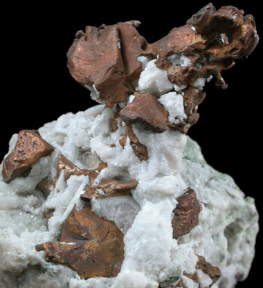 Copper (crystallized) from Keweenaw Peninsula Copper District, Michigan