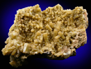 Pyromorphite from Mina Resuperferoltica, Santa Eufemia, Cordoba, Spain