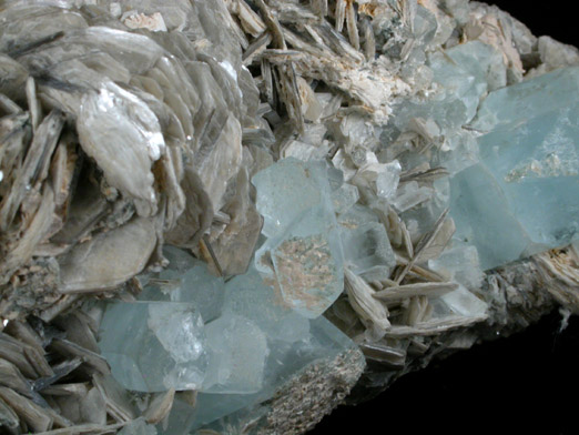 Beryl var. Aquamarine on Muscovite from Gilgit District, Gilgit-Baltistan, Pakistan