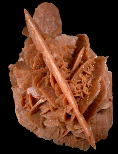 Gypsum var. Desert Rose from Chihuahua, Mexico