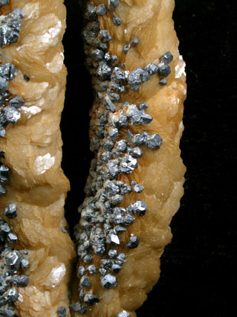 Siderite stalactites with Galena from White Raven Mine, Ward, Boulder County, Colorado