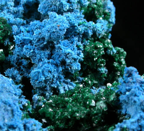 Shattuckite with Malachite from Shattuck Mine, Bisbee, Warren District, Cochise County, Arizona (Type Locality for Shattuckite)