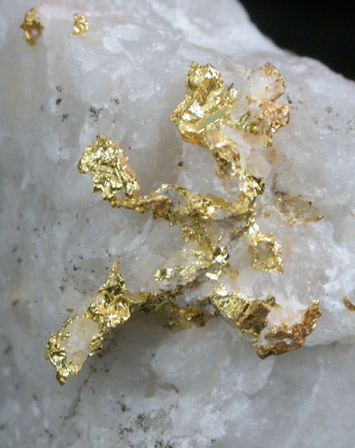 Gold in Quartz from Badger Mine, Mariposa County, California