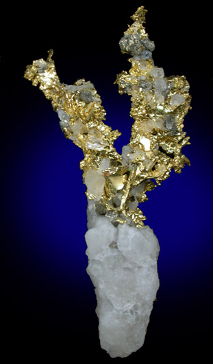 Gold and Arsenopyrite in Quartz from Sixteen-To-One Mine (16 to 1 Mine), Alleghany, 35 km NE of Grass Valley, Sierra County, California