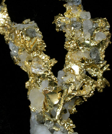 Gold and Arsenopyrite in Quartz from Sixteen-To-One Mine (16 to 1 Mine), Alleghany, 35 km NE of Grass Valley, Sierra County, California