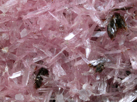 Hubeite on Inesite from Daye, Huangshi, Hubei, China (Type Locality for Hubeite)