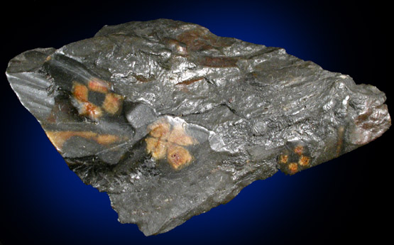 Andalusite var. Chiastolite from Lancaster, Worcester County, Massachusetts