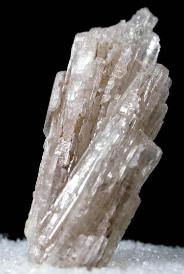 Aragonite from Cairns Bay, Flinders, Victoria, Australia