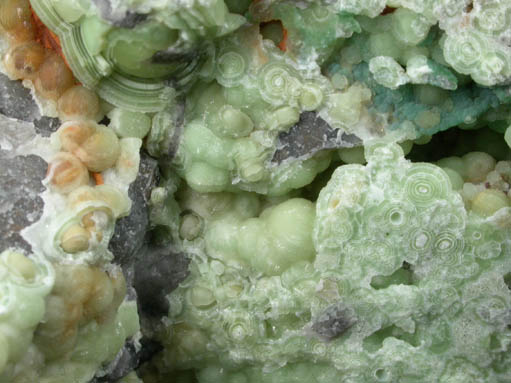 Wavellite with Variscite from Maudlin Mountain, Montgomery County, Arkansas