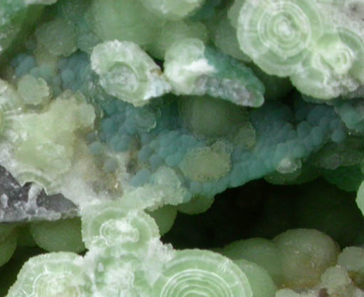 Wavellite with Variscite from Maudlin Mountain, Montgomery County, Arkansas