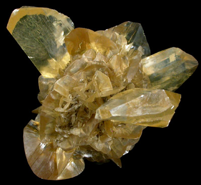 Gypsum var. Selenite from Red River Floodway, Winnipeg, Manitoba, Canada