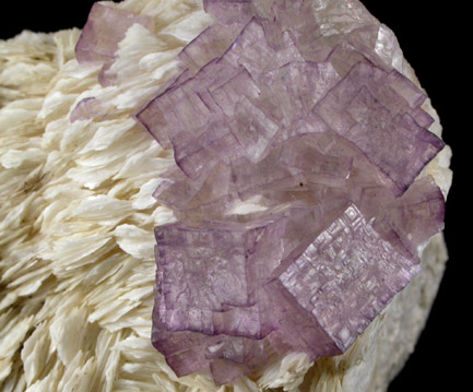 Fluorite on Barite from Caldwell Stone Quarry, Danville, Boyle County, Kentucky