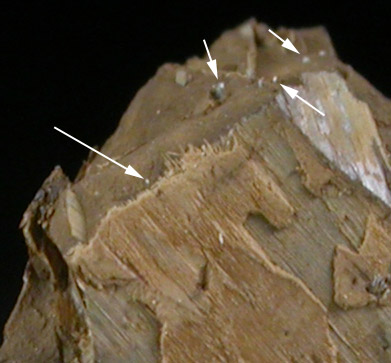 Caryochroite (IMA 2005-031) from Umbozero Mine, Lovozero Massif, Kola Peninsula, Russia (Type Locality for Caryochroite)